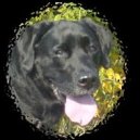Mojo88's Avatar